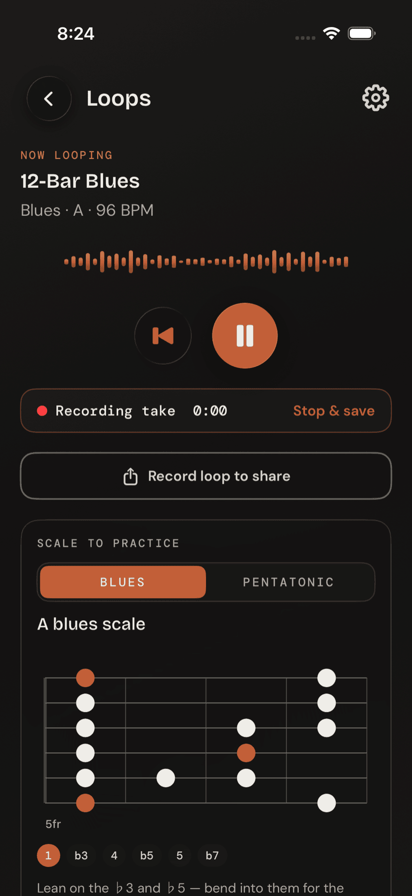 Loop detail view with the record button active mid-take