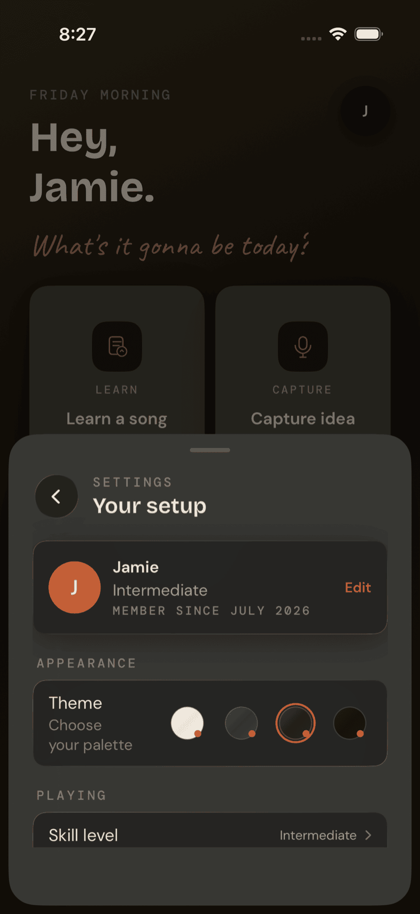 Settings sheet, Appearance section, with the theme picker mid-selection